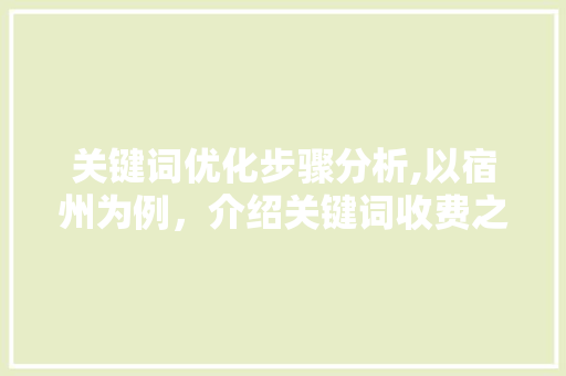 关键词优化步骤分析,以宿州为例，介绍关键词收费之路
