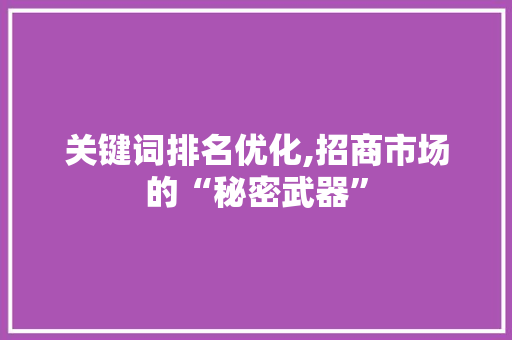关键词排名优化,招商市场的“秘密武器”