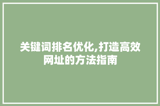 关键词排名优化,打造高效网址的方法指南