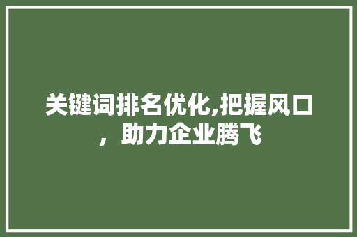 关键词排名优化,把握风口，助力企业腾飞