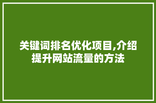 关键词排名优化项目,介绍提升网站流量的方法