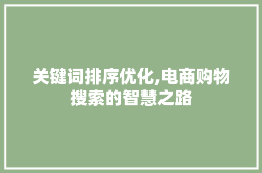 关键词排序优化,电商购物搜索的智慧之路