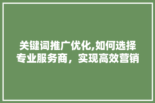 关键词推广优化,如何选择专业服务商，实现高效营销