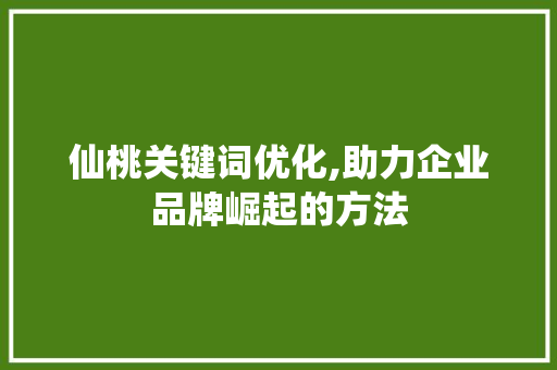 仙桃关键词优化,助力企业品牌崛起的方法