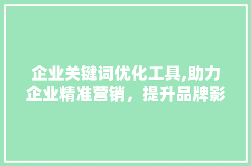 企业关键词优化工具,助力企业精准营销，提升品牌影响力