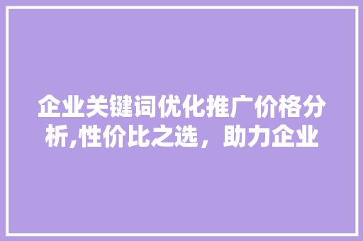 企业关键词优化推广价格分析,性价比之选，助力企业腾飞