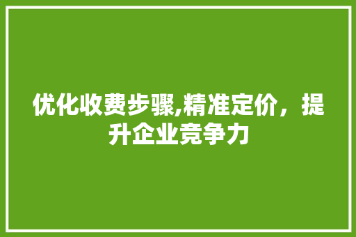 优化收费步骤,精准定价，提升企业竞争力
