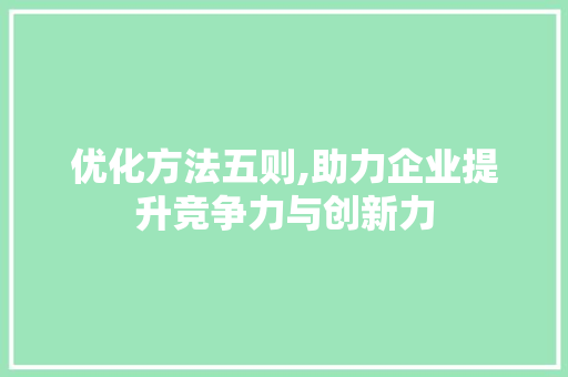 优化方法五则,助力企业提升竞争力与创新力