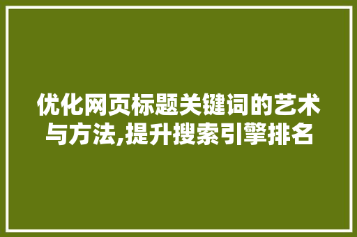 优化网页标题关键词的艺术与方法,提升搜索引擎排名的关键步骤