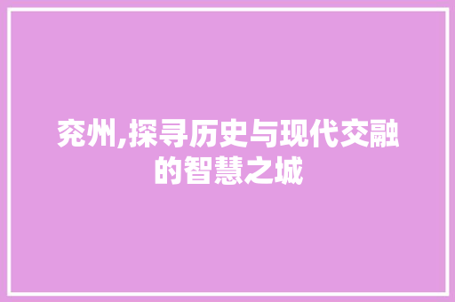兖州,探寻历史与现代交融的智慧之城