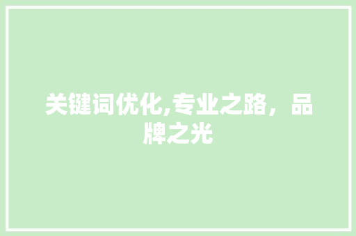 关键词优化,专业之路，品牌之光