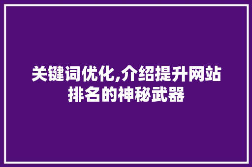 关键词优化,介绍提升网站排名的神秘武器