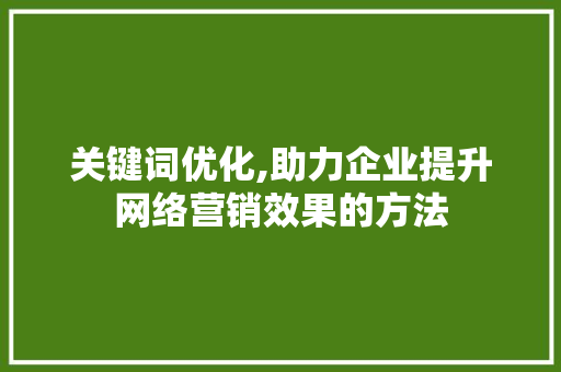 关键词优化,助力企业提升网络营销效果的方法