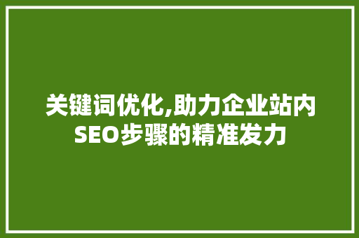 关键词优化,助力企业站内SEO步骤的精准发力