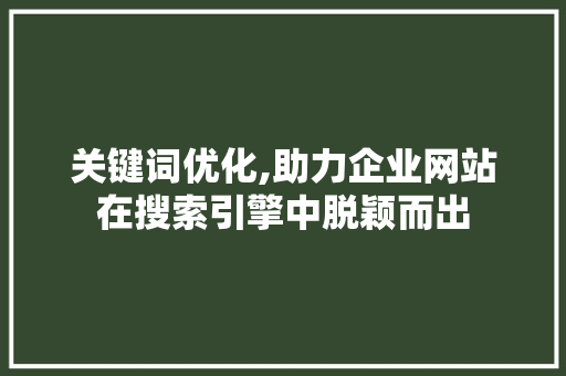 关键词优化,助力企业网站在搜索引擎中脱颖而出