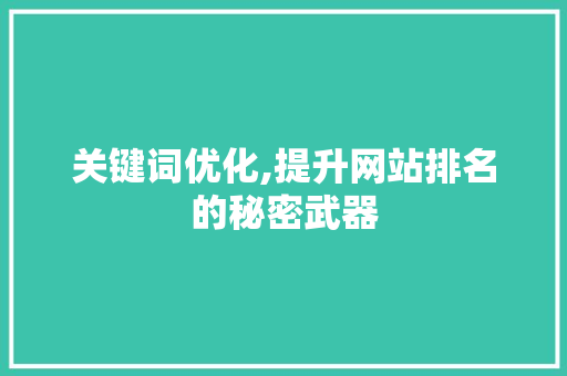 关键词优化,提升网站排名的秘密武器