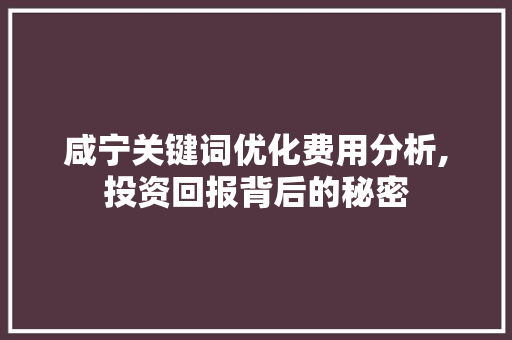 咸宁关键词优化费用分析,投资回报背后的秘密