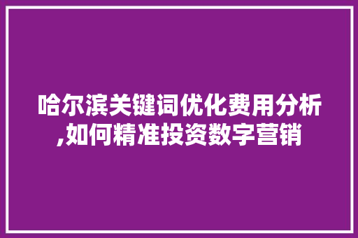 哈尔滨关键词优化费用分析,如何精准投资数字营销