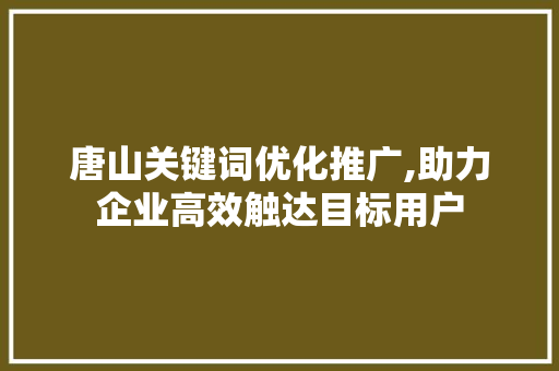 唐山关键词优化推广,助力企业高效触达目标用户