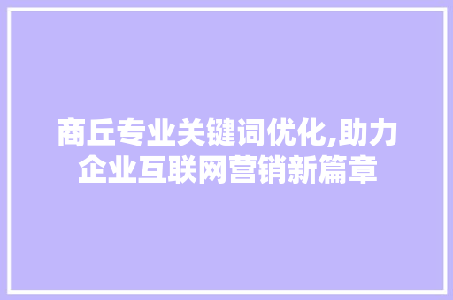 商丘专业关键词优化,助力企业互联网营销新篇章