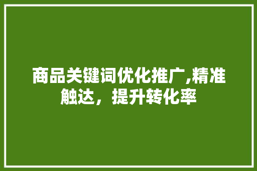 商品关键词优化推广,精准触达，提升转化率 MySQL