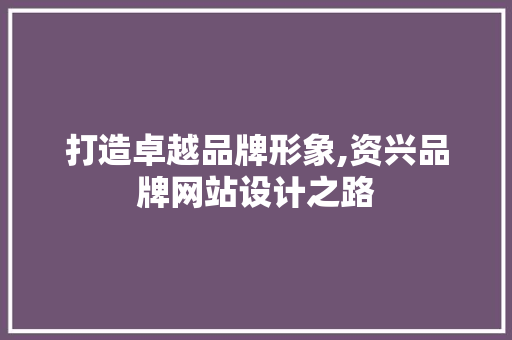 打造卓越品牌形象,资兴品牌网站设计之路