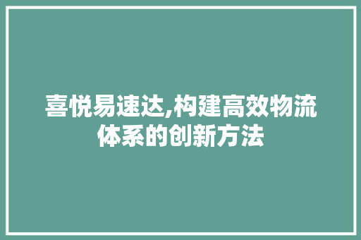 喜悦易速达,构建高效物流体系的创新方法