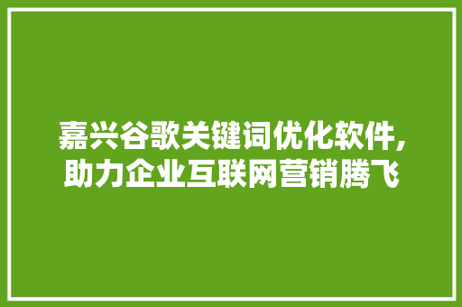 嘉兴谷歌关键词优化软件,助力企业互联网营销腾飞
