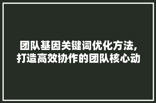 团队基因关键词优化方法,打造高效协作的团队核心动力
