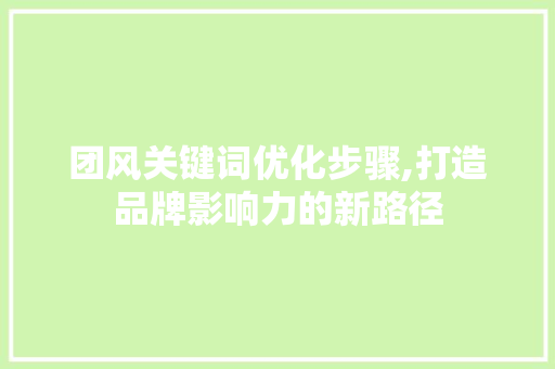 团风关键词优化步骤,打造品牌影响力的新路径