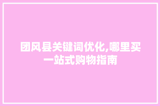 团风县关键词优化,哪里买一站式购物指南