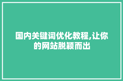 国内关键词优化教程,让你的网站脱颖而出