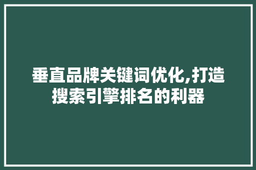 垂直品牌关键词优化,打造搜索引擎排名的利器