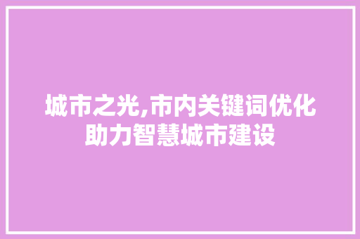 城市之光,市内关键词优化助力智慧城市建设