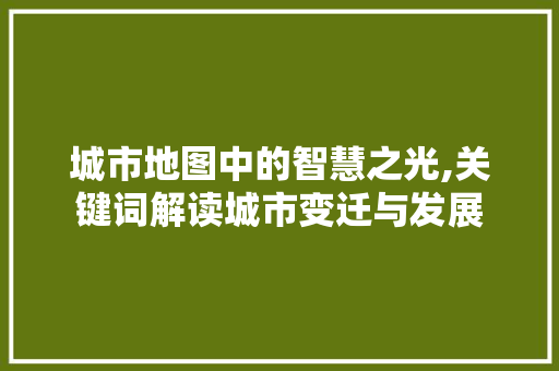 城市地图中的智慧之光,关键词解读城市变迁与发展