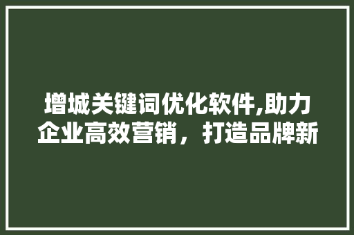 增城关键词优化软件,助力企业高效营销，打造品牌新高度