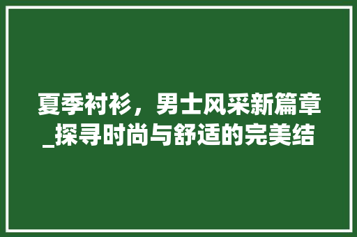 夏季衬衫，男士风采新篇章_探寻时尚与舒适的完美结合