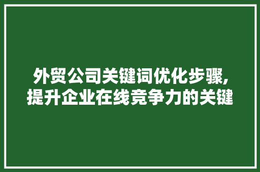 外贸公司关键词优化步骤,提升企业在线竞争力的关键