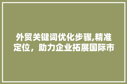 外贸关键词优化步骤,精准定位，助力企业拓展国际市场