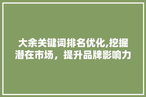 大余关键词排名优化,挖掘潜在市场，提升品牌影响力