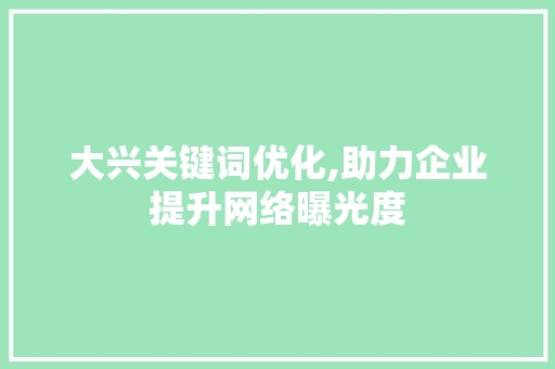 大兴关键词优化,助力企业提升网络曝光度
