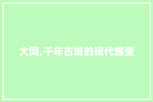 大同,千年古城的现代蝶变