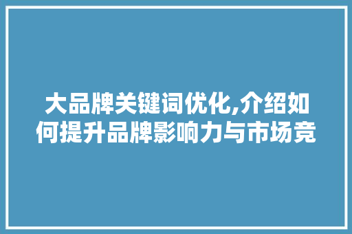 大品牌关键词优化,介绍如何提升品牌影响力与市场竞争力