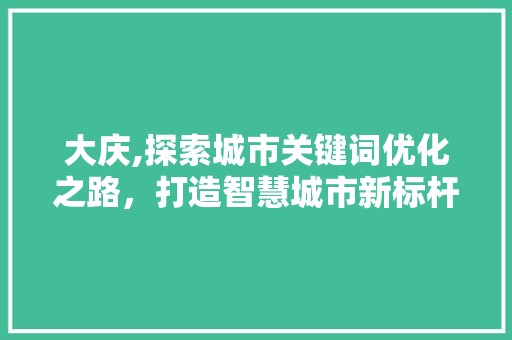 大庆,探索城市关键词优化之路，打造智慧城市新标杆