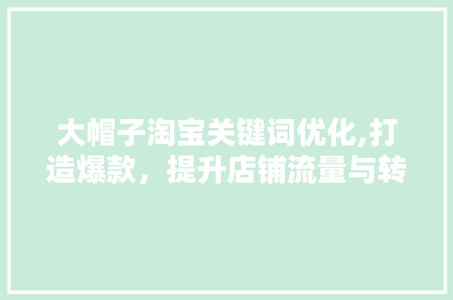 大帽子淘宝关键词优化,打造爆款，提升店铺流量与转化率
