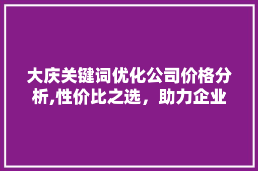 大庆关键词优化公司价格分析,性价比之选，助力企业腾飞