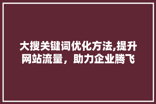 大搜关键词优化方法,提升网站流量，助力企业腾飞