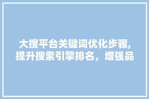 大搜平台关键词优化步骤,提升搜索引擎排名，增强品牌影响力