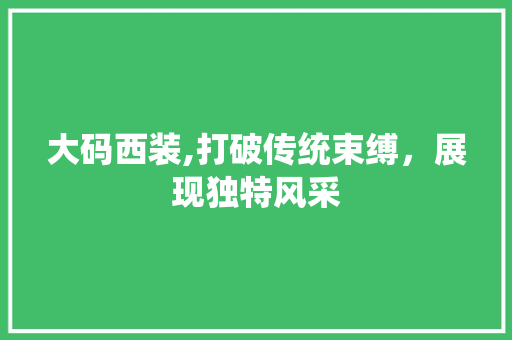 大码西装,打破传统束缚，展现独特风采