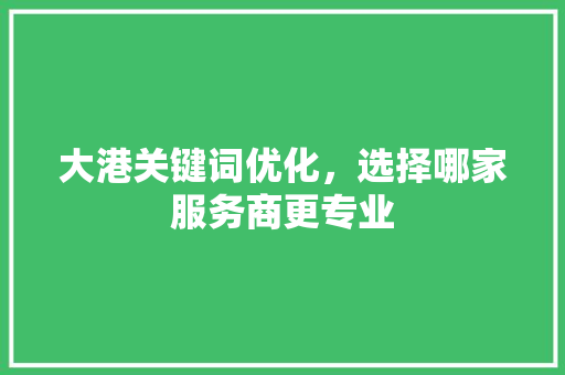 大港关键词优化，选择哪家服务商更专业
